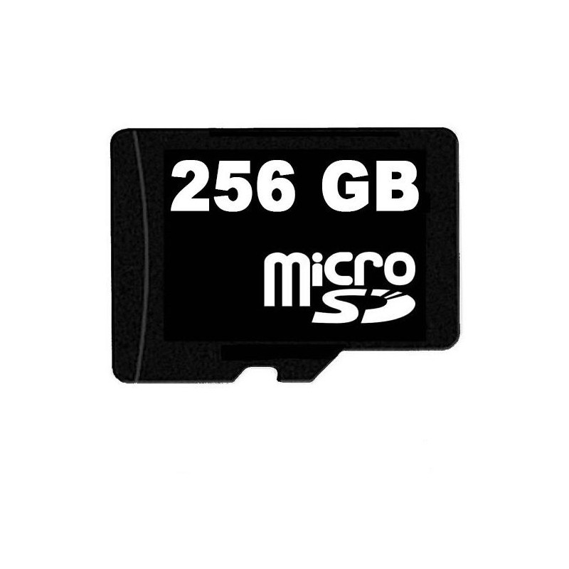 256 GB Micro SD-kaart